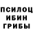 Псилоцибиновые грибы мицелий Svetlana Kindiakova