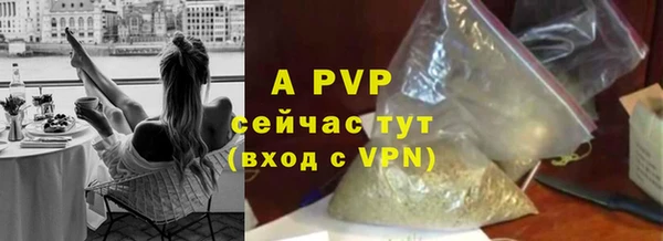 стаф Магадан