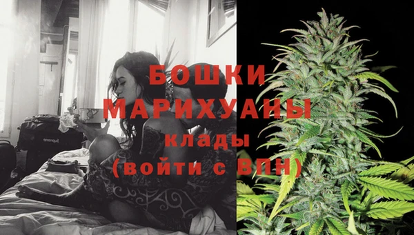 стаф Магадан