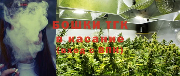 стаф Магадан