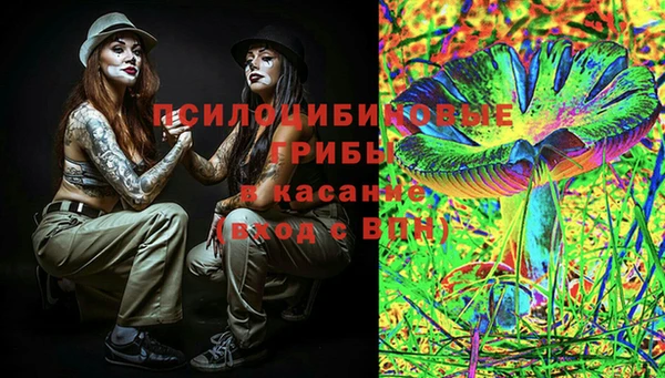 твердый Майский