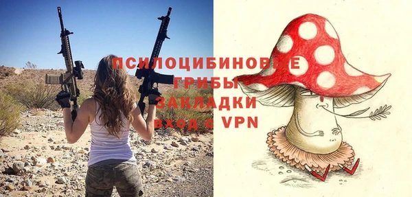 твердый Майский