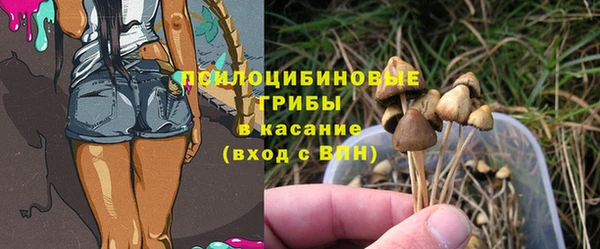 стаф Магадан
