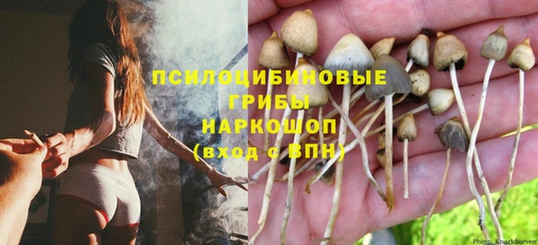 твердый Майский