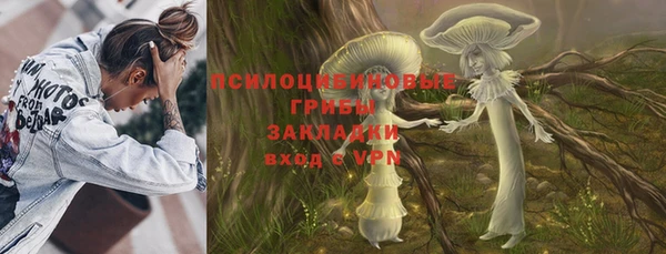 дмт Магас