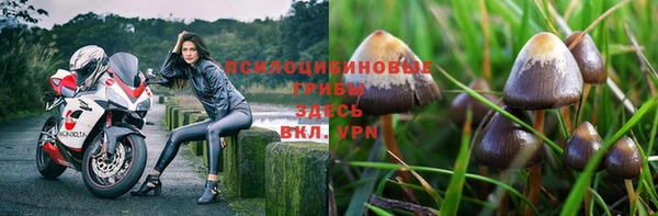 твердый Майский
