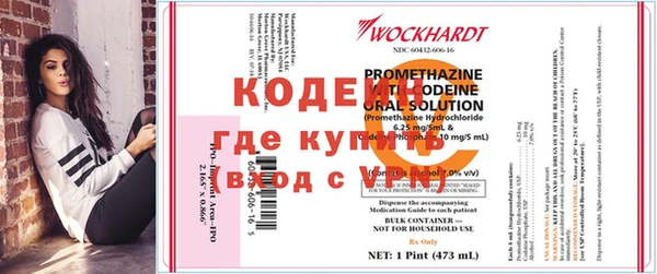 дмт Магас