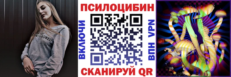 darknet официальный сайт  Дмитриев  Галлюциногенные грибы Psilocybine cubensis 
